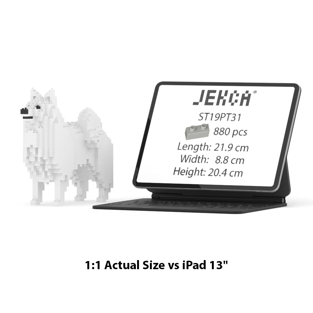 Japanese Spitz 01 – JEKCA Australia