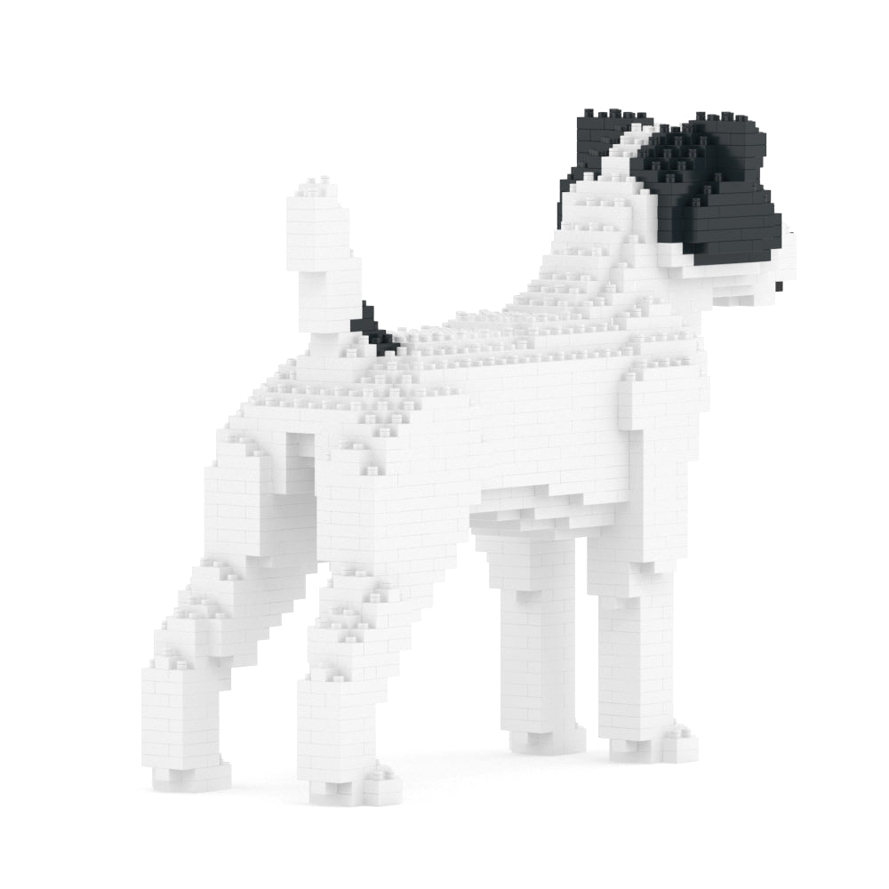 Jack Russell Terrier 01-M02