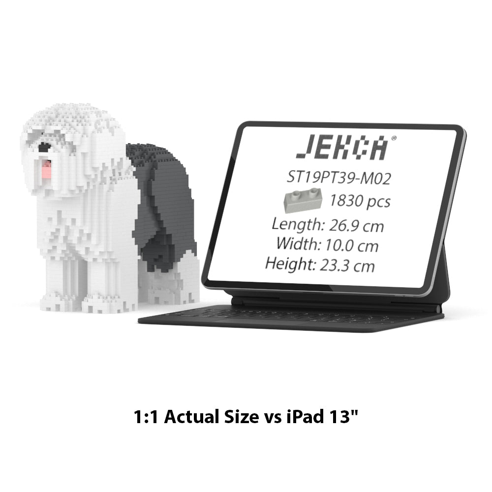 Old English Sheepdog 01-M02