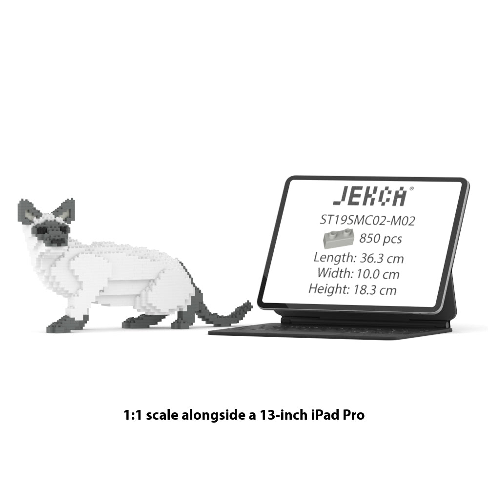 Siamese Cat 02S-M02