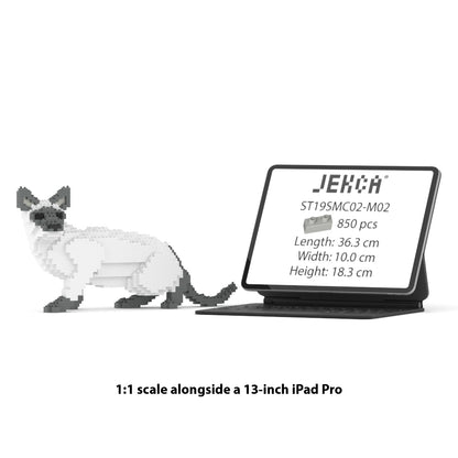 Siamese Cat 02S-M02