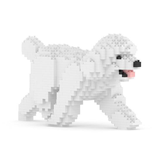 Toy Poodle 02-M01
