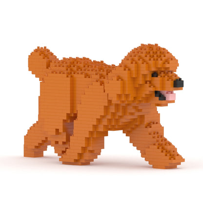 Toy Poodle 02-M04