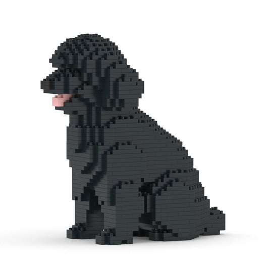 Toy Poodle 03-M02