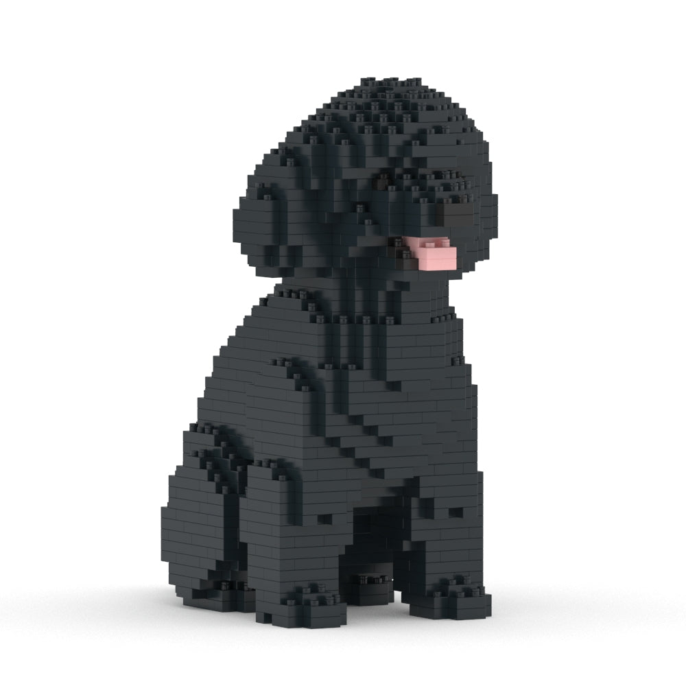 Toy Poodle 03-M02