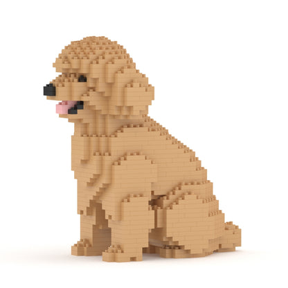Toy Poodle 03-M03