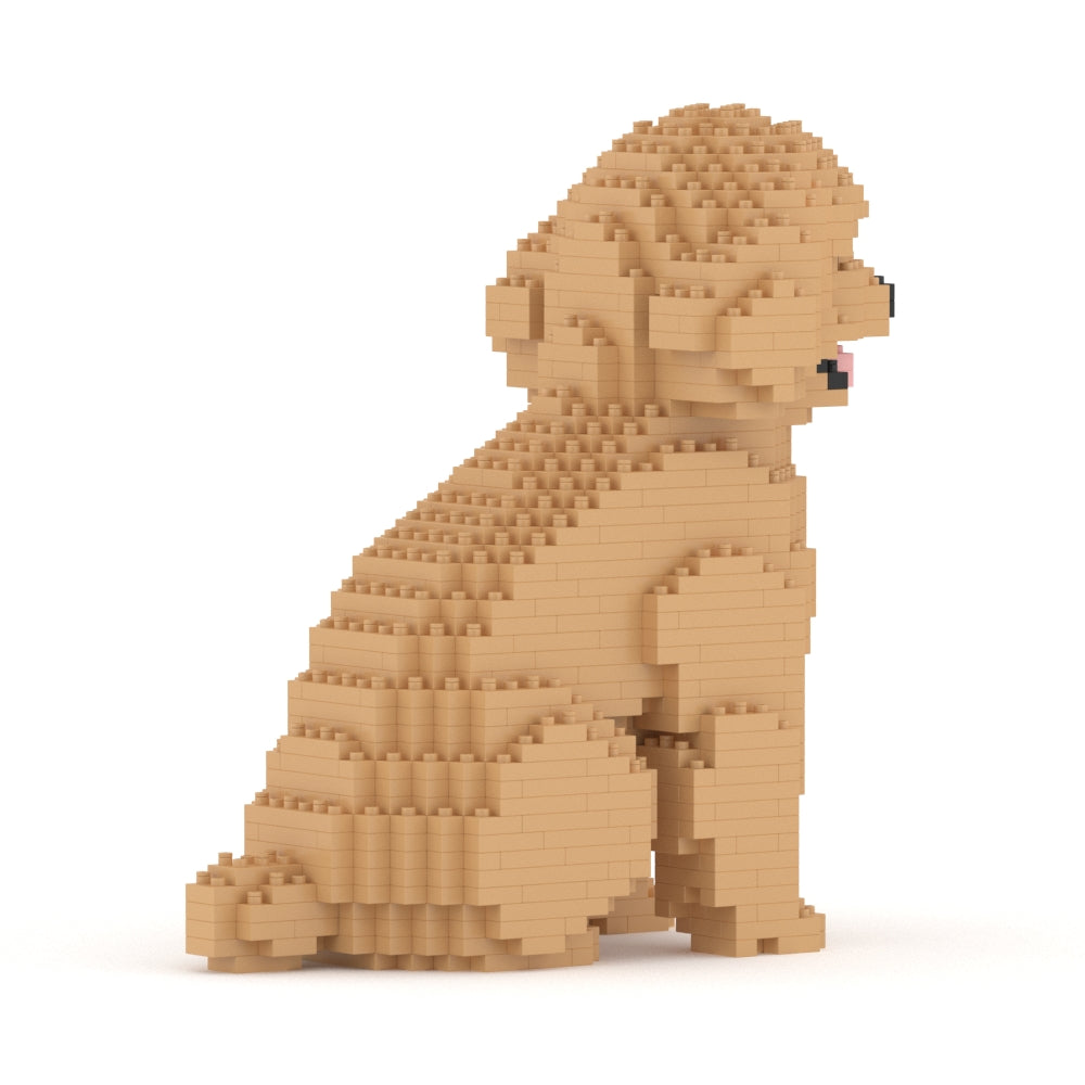Toy Poodle 03-M03