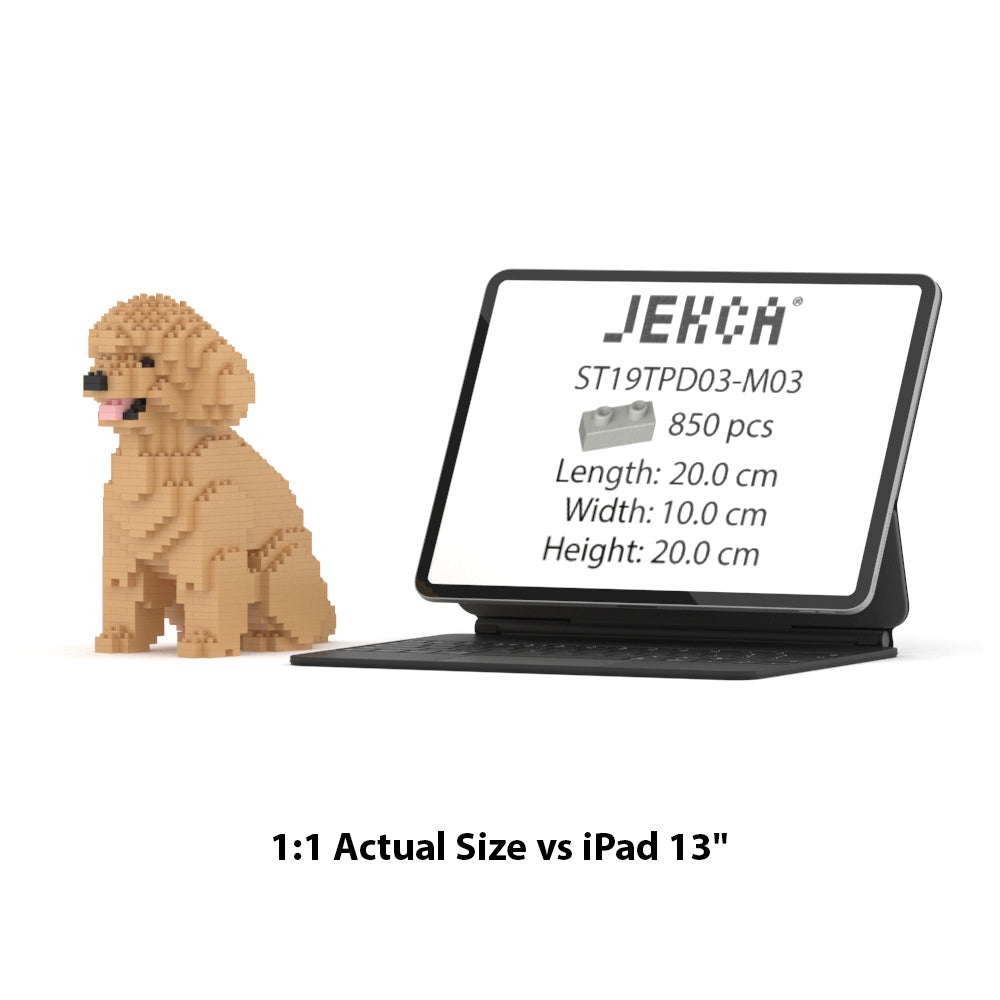 Toy Poodle 03-M03
