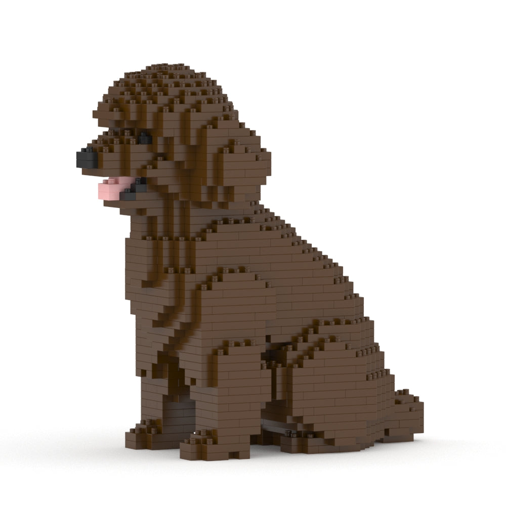Toy Poodle 03-M05