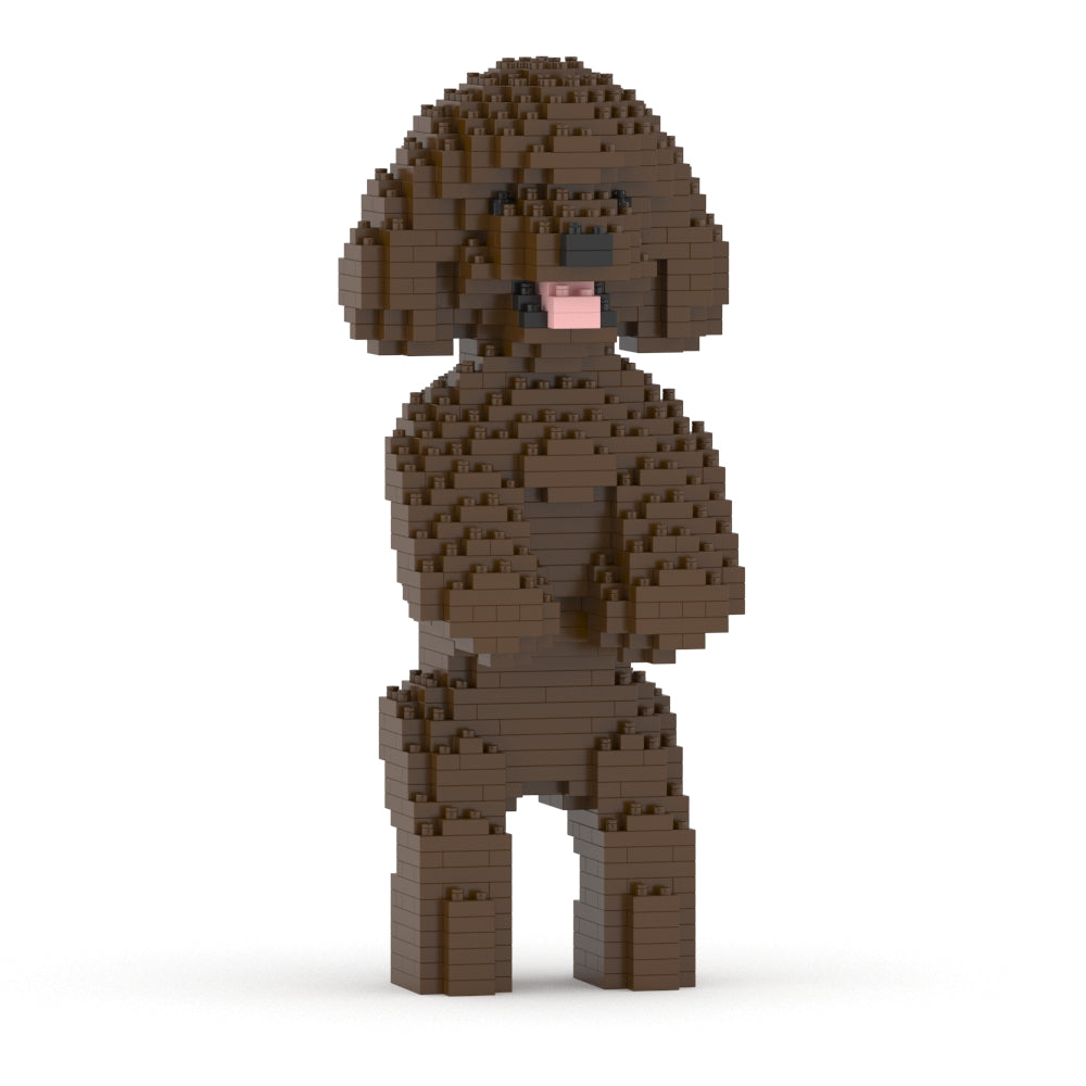 Toy Poodle 04-M05