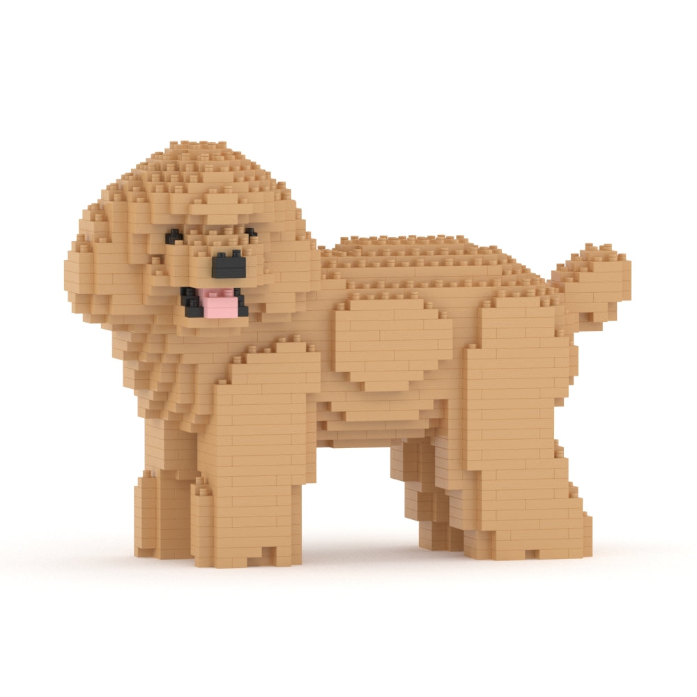 Toy Poodle 05-M03