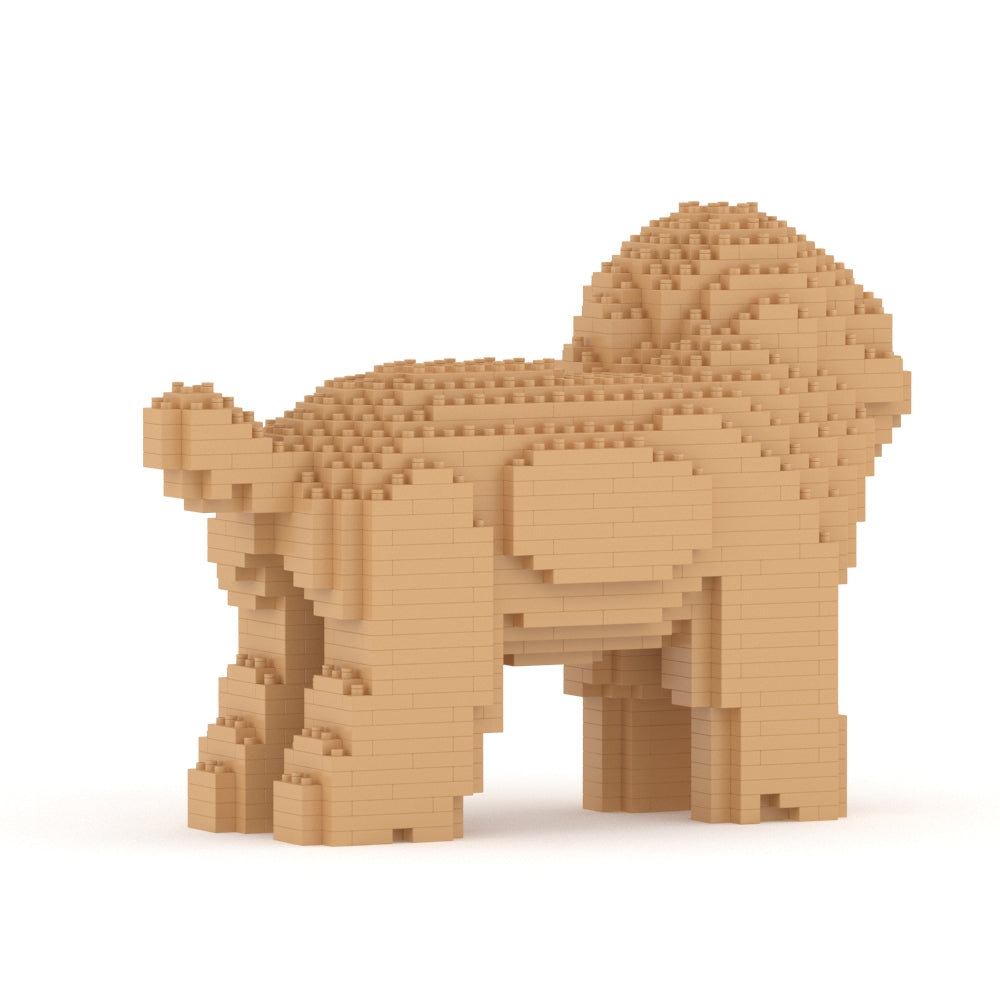 Toy Poodle 05-M03