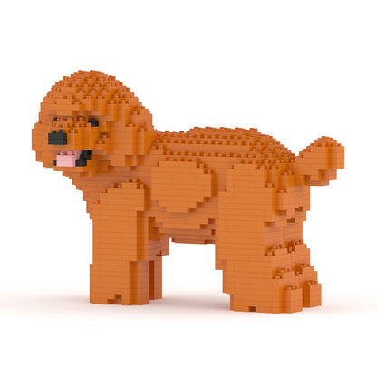 Toy Poodle 05-M04