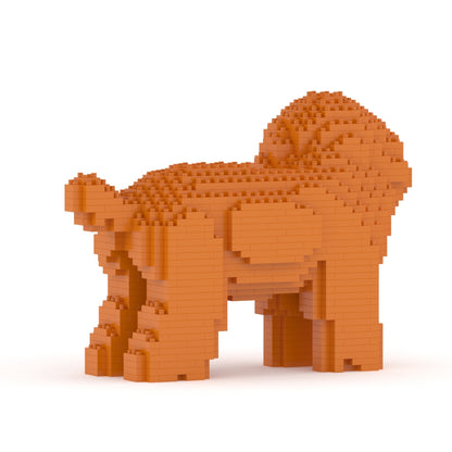 Toy Poodle 05-M04