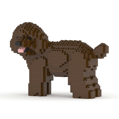 Toy Poodle 05-M05