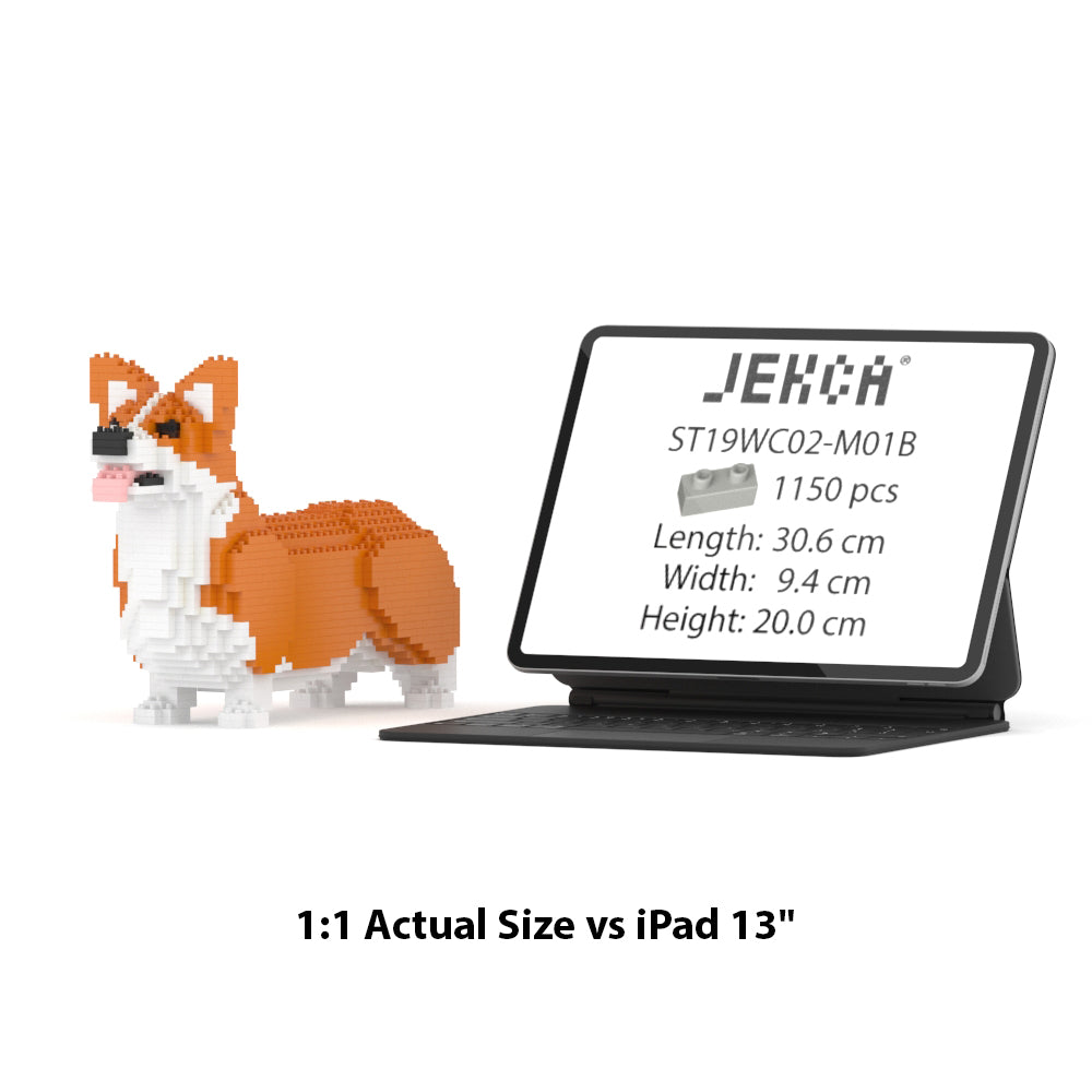 Welsh Corgi 02-M01B