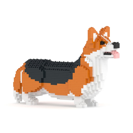 Welsh Corgi 02-M02
