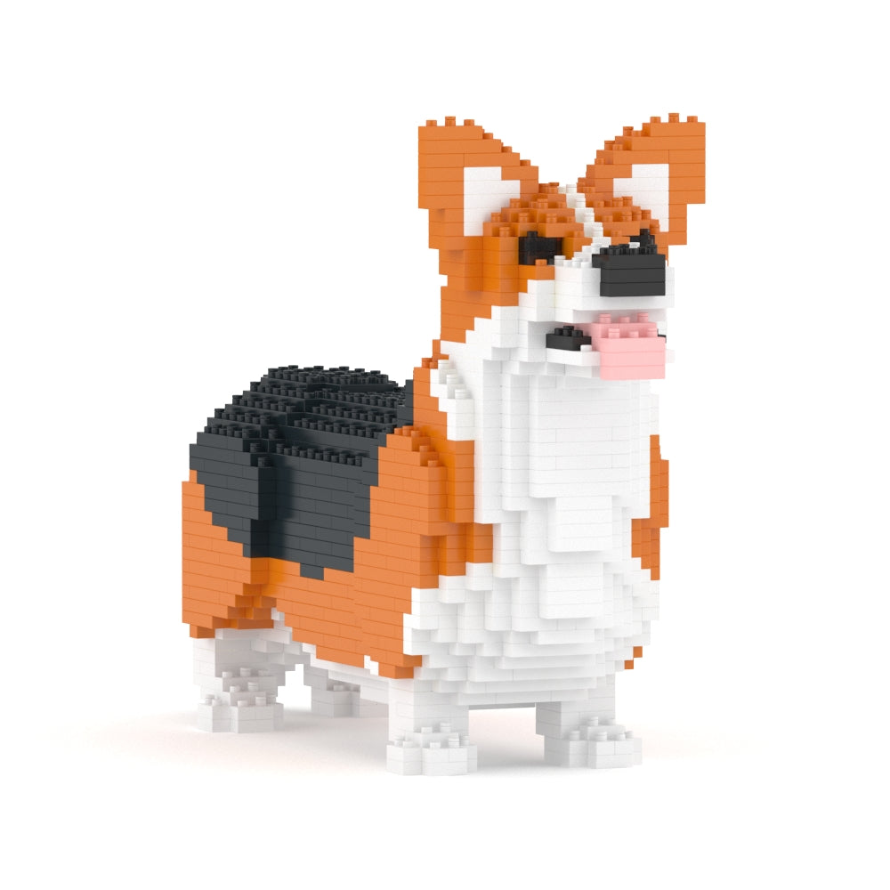 Welsh Corgi 02-M02