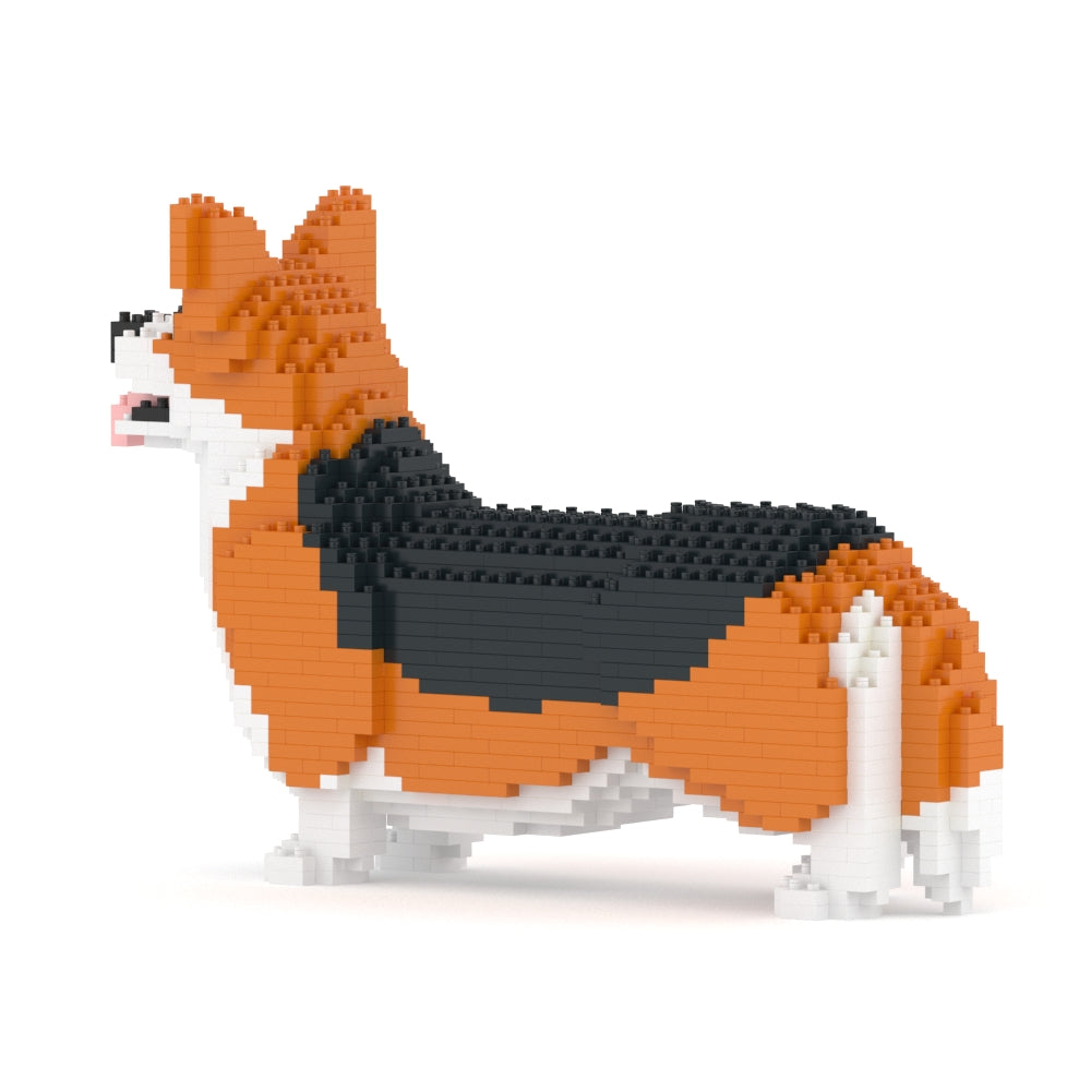 Welsh Corgi 02-M02