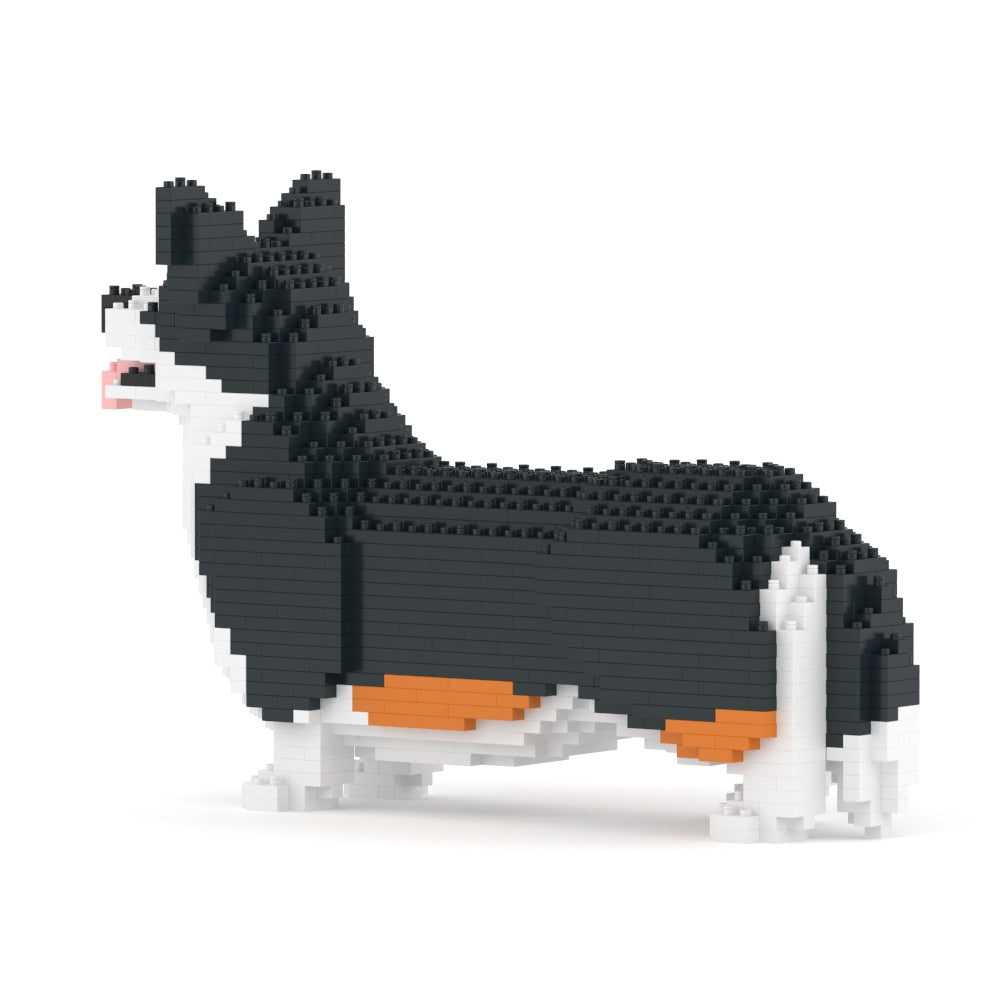 Welsh Corgi 02-M03