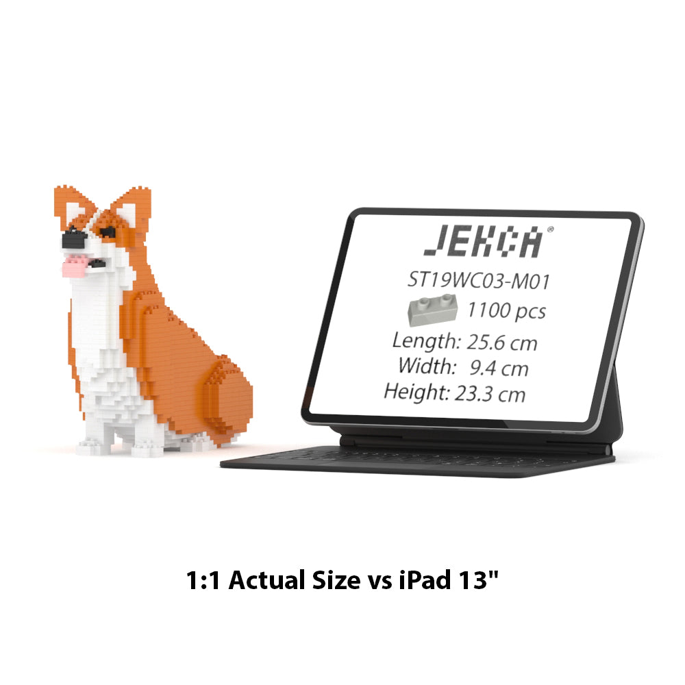 Welsh Corgi 03-M01