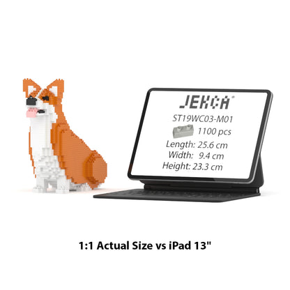Welsh Corgi 03-M01
