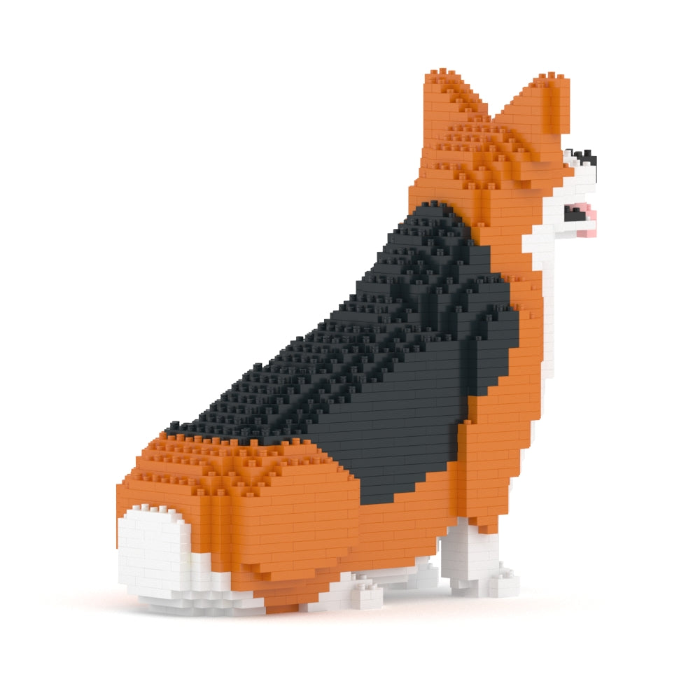 Welsh Corgi 03-M02