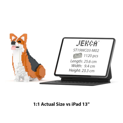 Welsh Corgi 03-M02