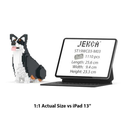 Welsh Corgi 03-M03