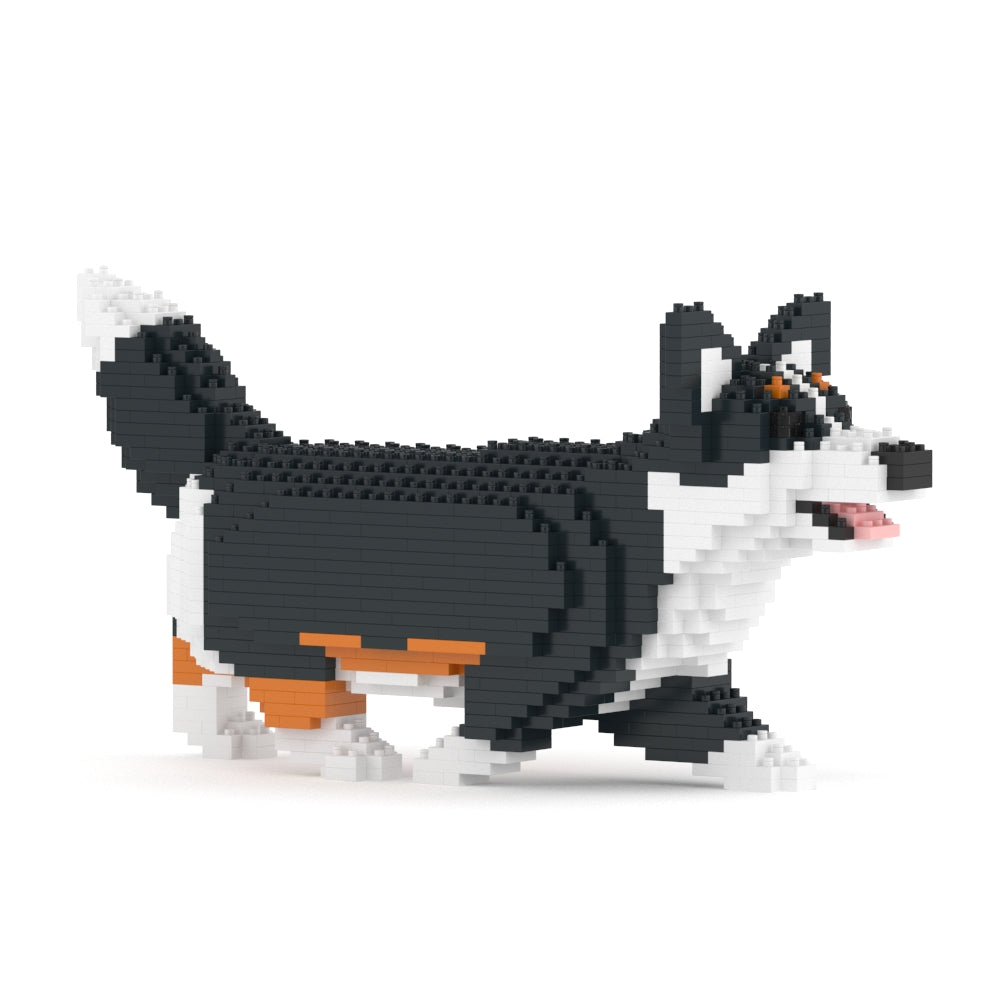 Welsh Corgi 04-M03