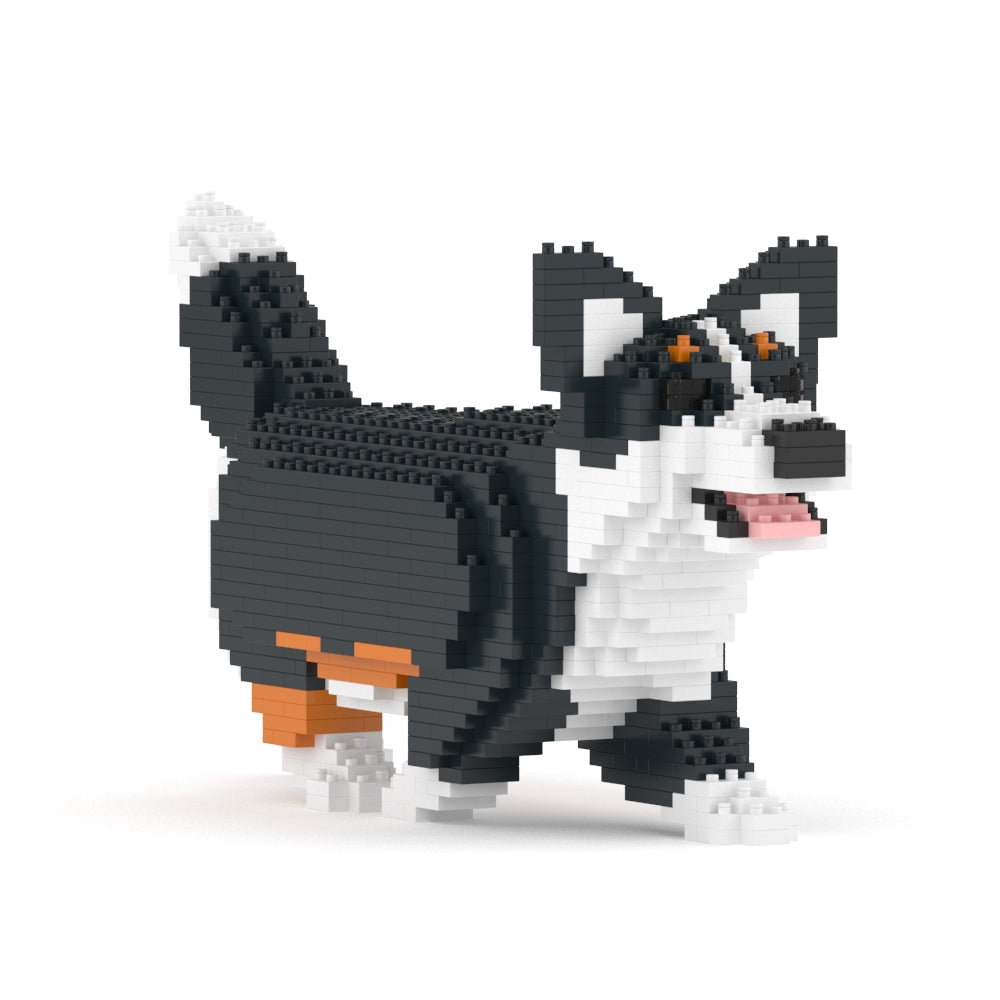 Welsh Corgi 04-M03