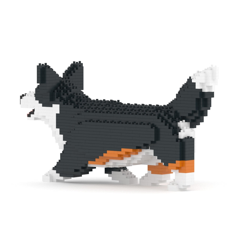 Welsh Corgi 04-M03