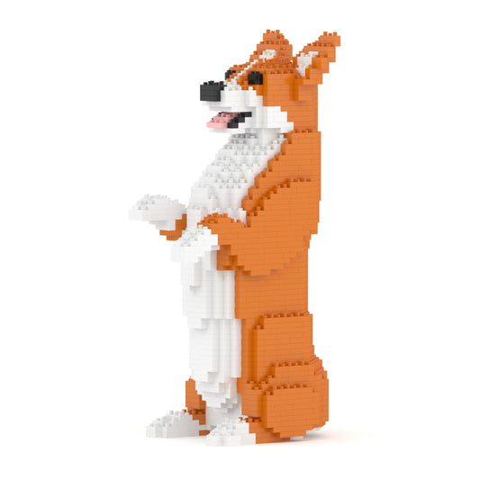 Welsh Corgi 05-M01