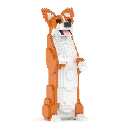 Welsh Corgi 05-M01