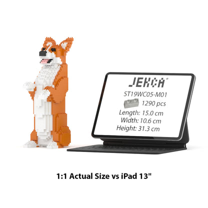 Welsh Corgi 05-M01