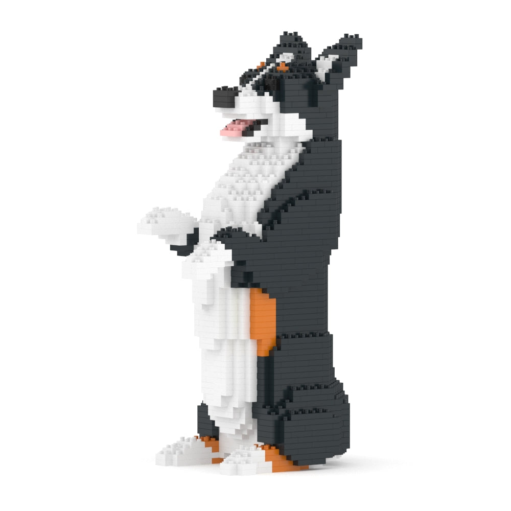 Welsh Corgi 05-M03