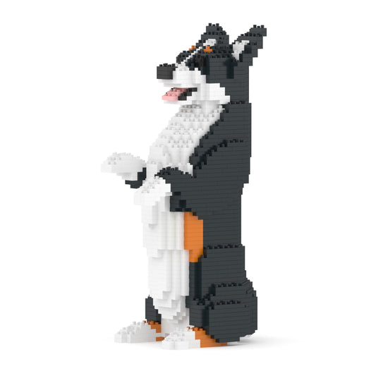 Welsh Corgi 05-M03