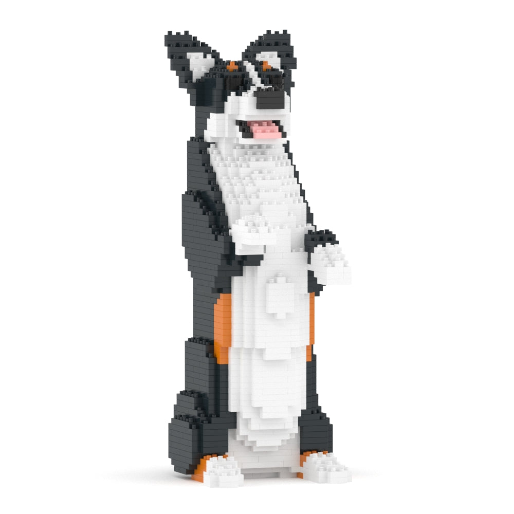 Welsh Corgi 05-M03