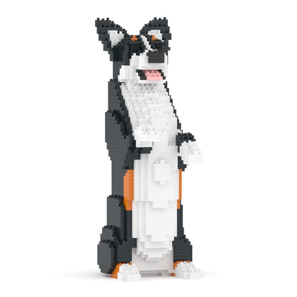 Welsh Corgi 05-M03