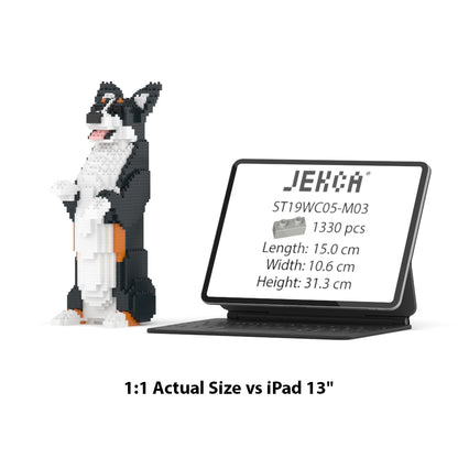 Welsh Corgi 05-M03
