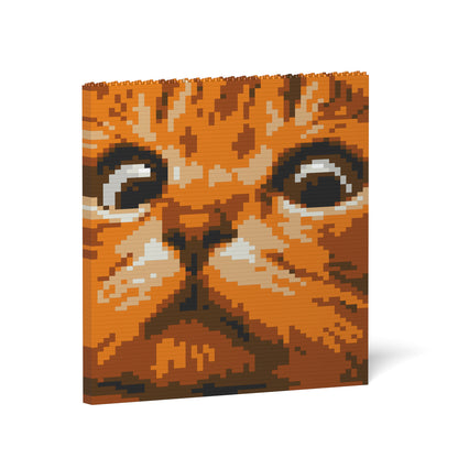Cat Eyes Brick Painting 02S-M01