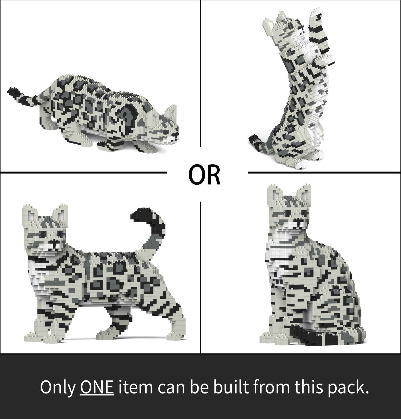 JEKCA Gatto Bengala 01S-M01: Set Di Costruzioni In Mattoncini Di Plastica, Oltre 2480 Pezzi, Dai 14 Anni