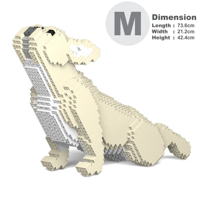 French Bulldog 05-M02
