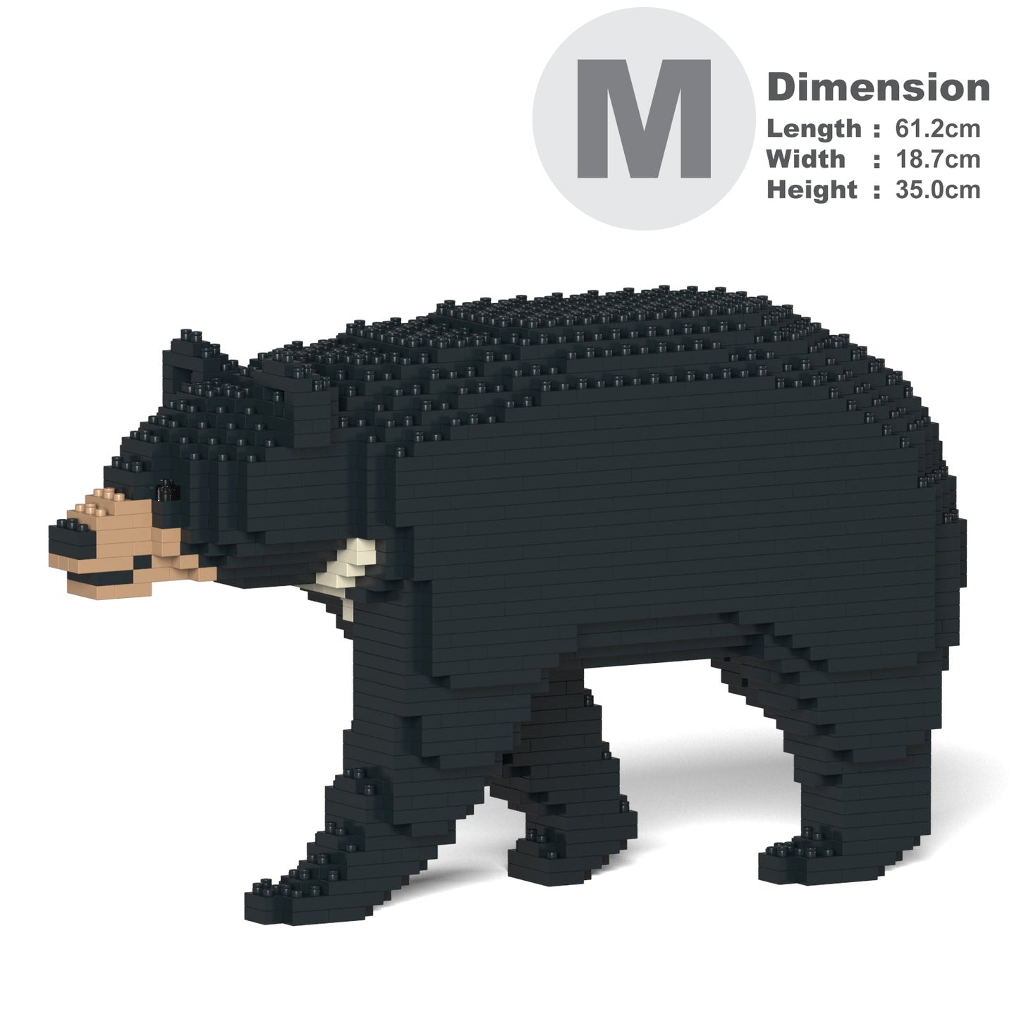 Formosan Black Bear 01