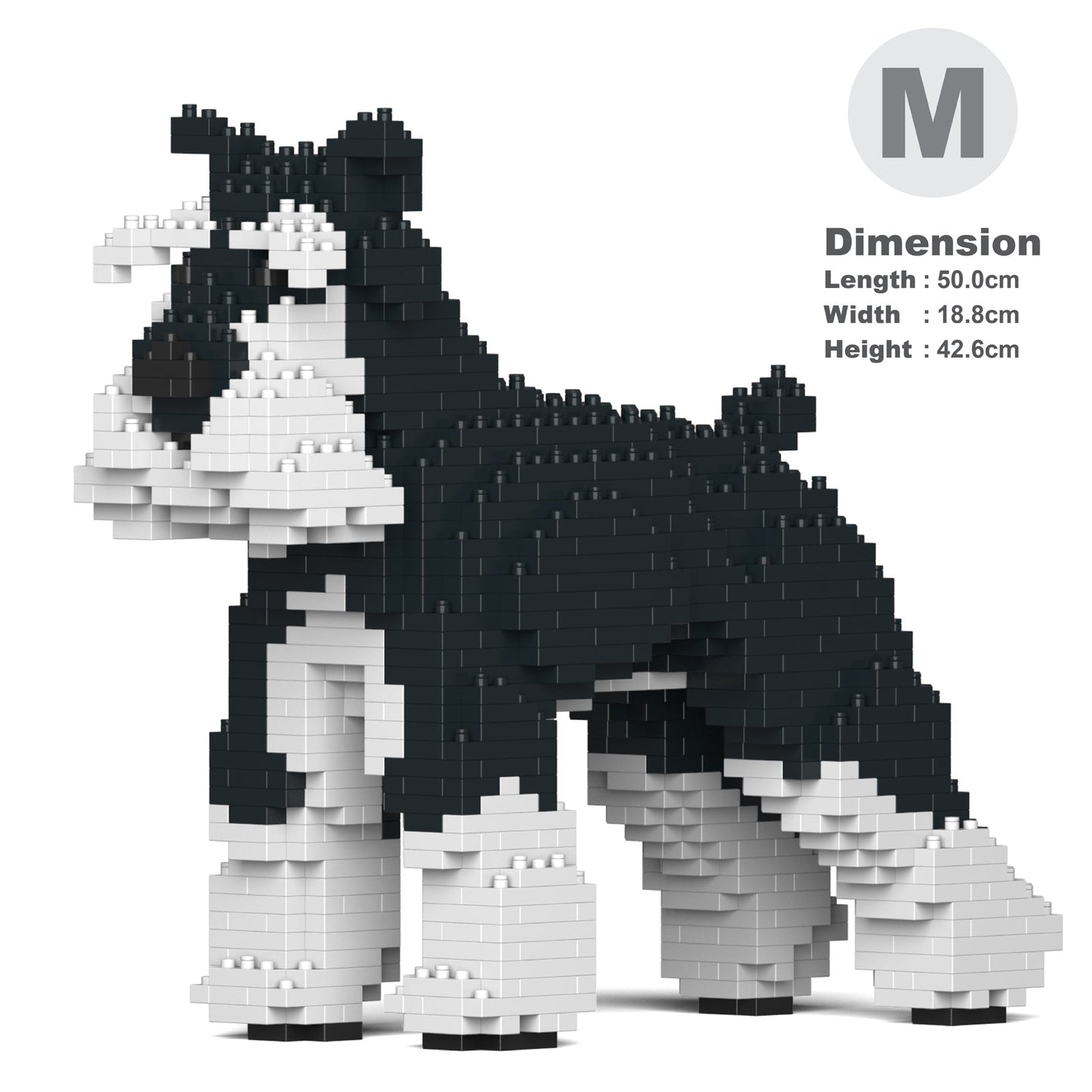 Standard Schnauzer 01-M02b