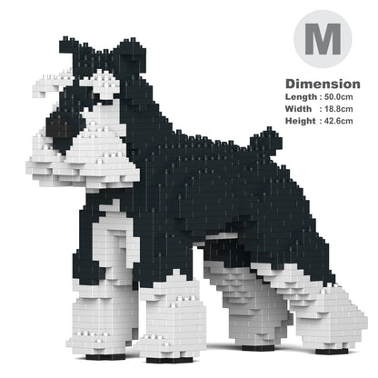 Standard Schnauzer 01-M02b