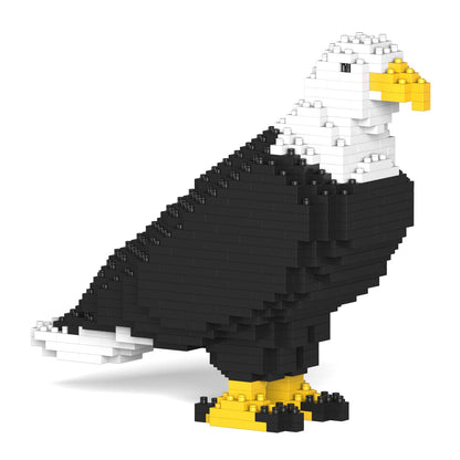 Bald Eagle 01