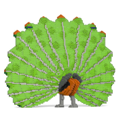 Peacock 01