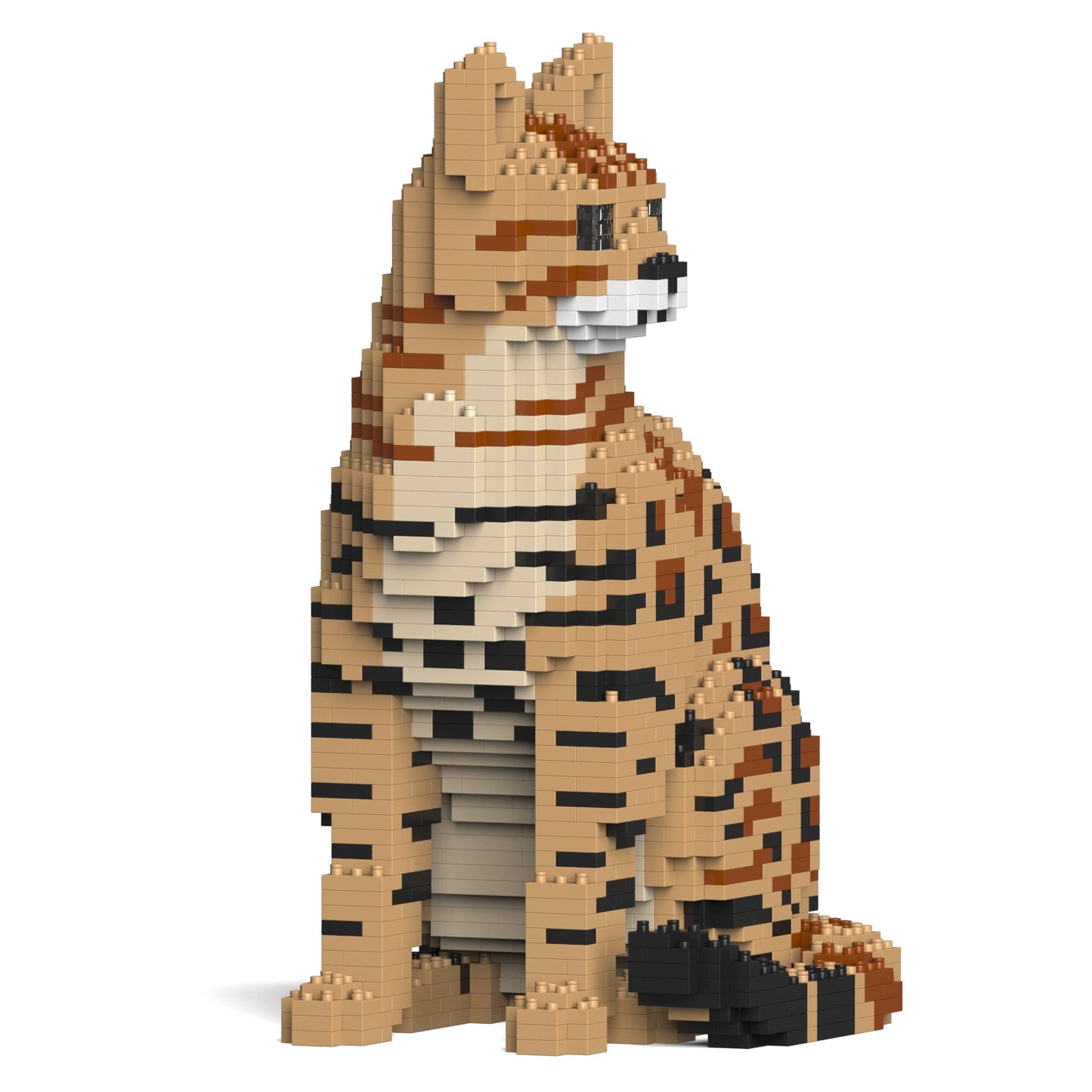 Bengal Cat 4-in-1 Pack 01S-M01