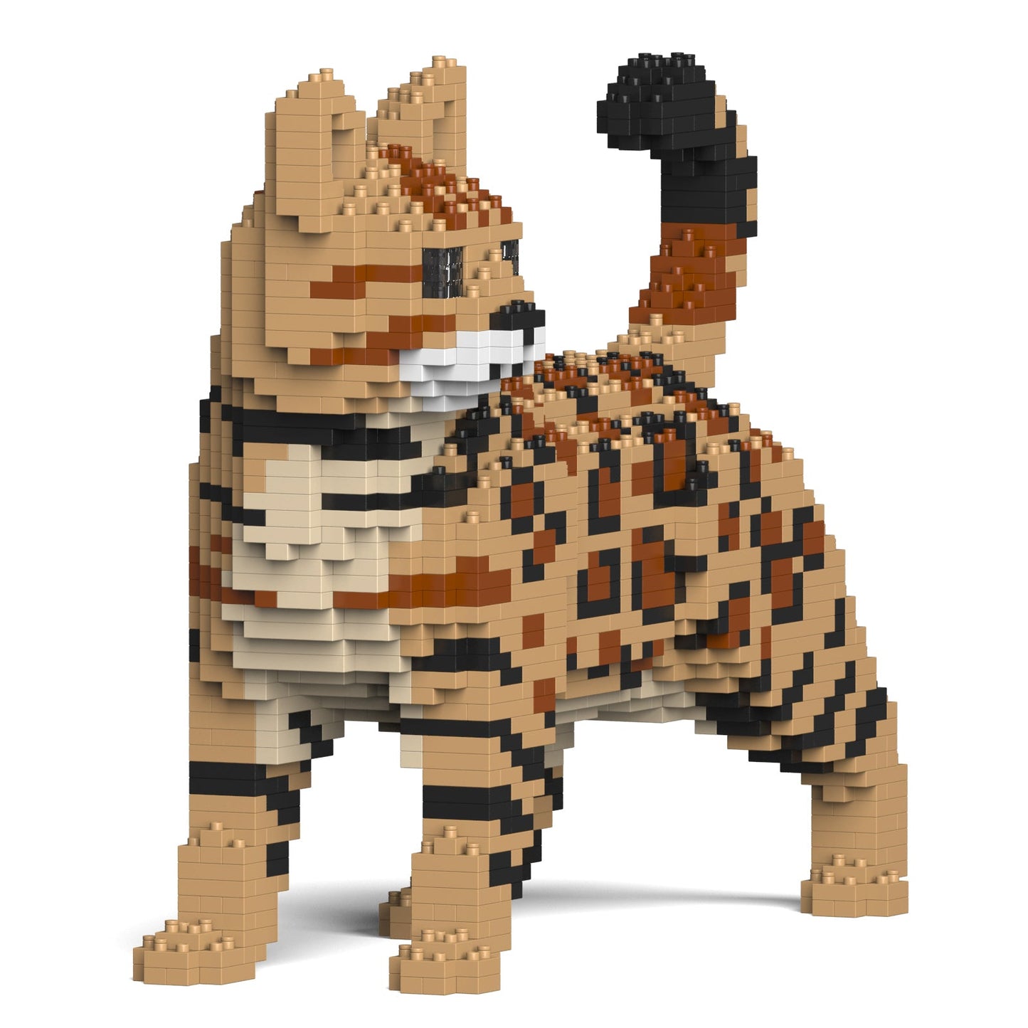 Bengal Cat 4-in-1 Pack 01S-M01